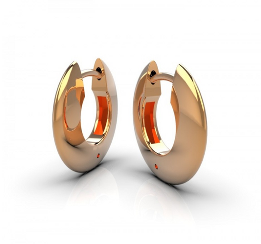 Compact Earrings